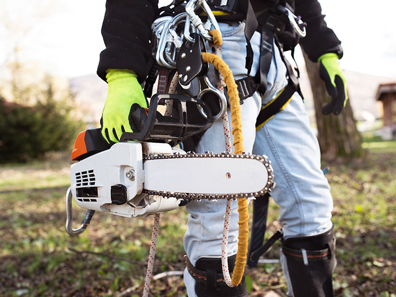 Health and Safety at Devon Garden & Ground Maintenance